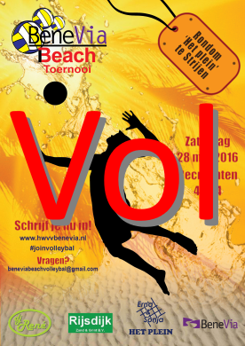 2016 beach flyer small vol